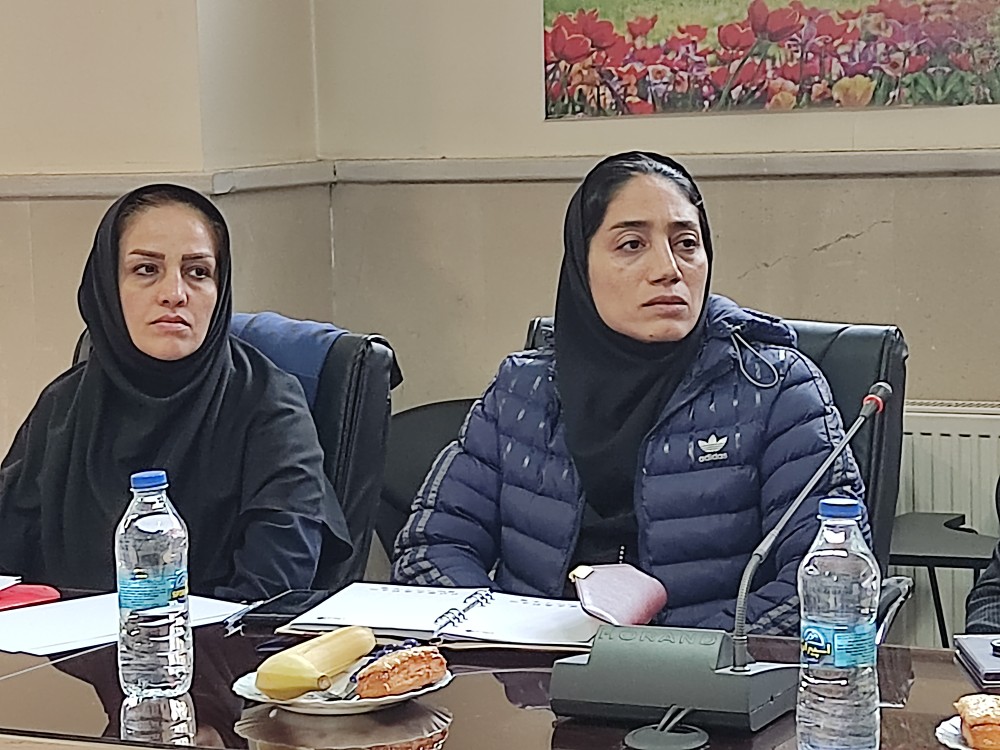 جلسه نواب رئیس بانوان شهرستانها